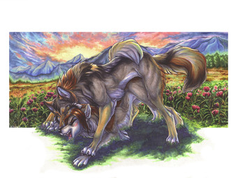 duo erection female feral feral_on_feral field fur genitals male male/female mountain open_mouth outside pawpads penis romantic romantic_ambiance sex smile sunset cockiestspaniel wielder_(character) canid canine canis mammal wolf 2014 4:3 unavailable_at_source