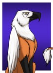 beak black_beak border brown_body feathered_wings feathers feral gradient_background male scuted_arms scutes simple_background solo tail tail_tuft tuft white_border wings yellow_eyes foxenawolf goldfur's_cogsverse mythology warfist_bloodfeather avian gryphon mythological_avian mythological_creature