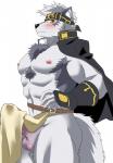 abs accessory alios anthro balls biceps blush bottomwear canid canine canis clothing coat_cape erection fur genitals headband hi_res horkeu_kamui_(tas) kemono lifewonders loincloth looking_at_viewer male mammal multicolored_body multicolored_fur muscular muscular_anthro muscular_male nipples pecs penis pubes simple_background solo tokyo_afterschool_summoners white_body white_fur wolf