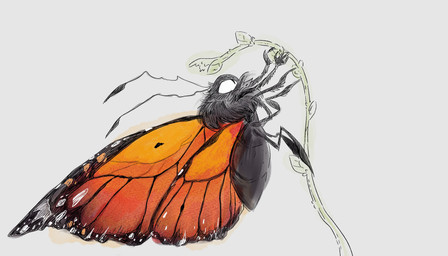 2_antennae 4_legs 4_wings ambiguous_gender arthropod_abdomen big_wings eyespots grey_body head_tuft holding_plant insect_wings lepidopteran_wings markings multi_wing multicolored_wings orange_wings plant quadruped ruff side_view solo spread_wings tuft wings gretelandcat hoppers_(disney) titus_(hoppers) arthropod butterfly insect lepidopteran monarch_butterfly taur 2026 digital_drawing_(artwork) digital_media_(artwork) hi_res
