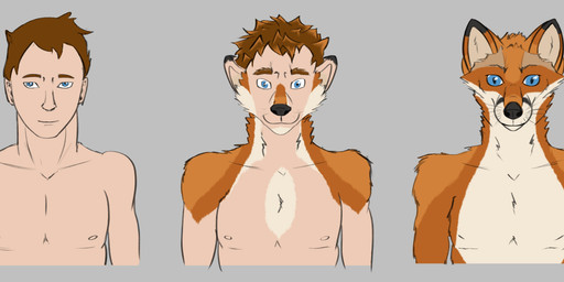 anthro base_one_layout basic_sequence blue_eyes brown_hair fur grey_background hair human_to_anthro linear_sequence male nude one_row_layout simple_background solo species_transformation three_frame_image three_frame_sequence transformation transformation_sequence talyna canid canine fox human mammal 2019 absurd_res digital_media_(artwork) hi_res sequence