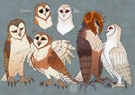 absurd_res armor avian barn_owl battle_claws bird black_eyes brother_(lore) brother_and_sister_(lore) brown_body brown_feathers claws eglantine_(gogh) feathers female feral gradient_body group guardians_of_ga'hoole headgear helmet hi_res kabuki-aku kludd male metal_beak nyra_(gogh) owl sibling_(lore) simple_background sister_(lore) soren_(gogh) toe_claws tyto tytonid white_body white_feathers