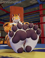 4_toes 5_fingers action_pose anthro barefoot barely_visible_genitalia big_bulge black_body black_bottomwear black_claws black_clothing black_footwear black_fur black_shorts black_stripes bottomwear bulge cheek_tuft claws close-up clothing countershade_feet countershading curling_toes facial_tuft feet fighting_ring finger_claws fingers fist foot_fetish foot_focus footwear fur genitals hindpaw looking_at_viewer male muscular muscular_anthro muscular_male nude orange_body orange_fur pawpads paws penis pink_inner_ear pink_nose plantigrade pose presenting pupils shorts soles solo striped_body striped_fur stripes text toe_claws toe_wiggle toeless_footwear toes tuft underwear white_body white_fur yellow_eyes connivingrat stead_(connivingrat) felid mammal pantherine tiger 2022 3d_(artwork) 3d_animation animated chinese_text digital_media_(artwork) hi_res high_framerate no_sound short_playtime webm