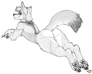 anthro balls butt fluffy fluffy_tail genitals looking_at_viewer looking_back looking_back_at_viewer lying male nude on_front purple_eyes smile solo tail ruska_(artist) canid canine canis coyote mammal hi_res traditional_media_(artwork)