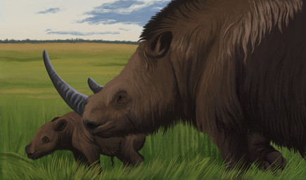 brown_body brown_fur cloud duo feral field fur grass grasslands grey_horn horn long_fur neonate plant quadruped sky steppe young agustindiazart mammal prehistoric_species rhinoceros woolly_rhinoceros 2023 hi_res mother_(lore) mother_and_child_(lore) parent_(lore) parent_and_child_(lore)