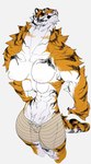 4_breasts abs anthro areola arm_tuft bandage biceps big_breasts biped breasts clothed clothing female high-angle_view kemono looking_at_viewer multi_breast muscular muscular_anthro muscular_female pubes shoulder_tuft simple_background solo topless tuft white_background quququl felid mammal pantherine tiger digital_media_(artwork) hi_res