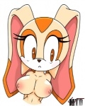 breasts cream_the_rabbit darksonic250 female lagomorph marthedog nude rabbit sega solo sonic_(series)
Rating: Questionable
Score: 1
User: Lizard
Date: April 25, 2010