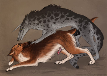 anal anal_penetration animal_genitalia animal_penis bared_teeth black_penis brown_body brown_fur canine_genitalia canine_penis duo erection fangs feral feral_on_feral feral_penetrated feral_penetrating feral_penetrating_feral from_behind_position fur genitals grass grey_body grey_fur knot knotted_penis male male/male male_penetrated male_penetrating male_penetrating_male orange_eyes penetration penile penile_penetration penis penis_tip plant red_penis sex side_view spotted_legs spotted_neck teeth whiskers white_body white_fur yellow_eyes heatherwolf canid canine mammal species_request monochrome