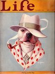 1927 20th_century ancient_art anthro black_nose brown_eyes bust_portrait canid canine canis clothed clothing cover domestic_dog dress_shirt english_text fedora fur gentleman hat headgear headwear hi_res life_(magazine) looking_at_viewer magazine_cover male mammal necktie painting_(artwork) pattern_clothing pipe pit_bull plaid polka_dots portrait shawl shirt simple_background smoke smoking smoking_pipe solo spots spotted_clothing text topwear traditional_media_(artwork) watercolor_(artwork) white_body white_fur william_rannells
