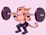 abs anthro athletic biceps bodily_fluids bottomwear clothed clothing exercise lombax male mammal muscular pants pecs plum_(artist) ratchet_(ratchet_and_clank) ratchet_and_clank shirtless simple_background solo sony_corporation sony_interactive_entertainment sweat topless triceps weightlifting weights workout