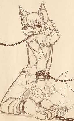 4_toes anthro barefoot bottomwear bound claws clothed clothing ear_piercing ear_ring feet glistening glistening_eyes hair hands_tied inner_ear_fluff kneeling looking_at_viewer male muzzle_(object) muzzled narrowed_eyes pants pawpads paws piercing plantigrade ring_piercing short_hair simple_background soles solo teeth three-quarter_view toes topwear tuft unsigned penguinexperience canid canine fox mammal monochrome sketch traditional_media_(artwork)