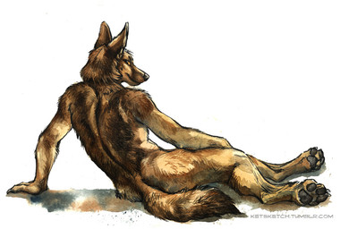 anthro back_groove brown_body brown_fur butt claws fur looking_at_viewer looking_back looking_back_at_viewer male orange_eyes pawpads paws pointy_ears pose prick_ears rear_view reclining simple_background solo tail tan_body tan_fur text toe_claws white_background kenket canid canine canis domestic_dog german_shepherd herding_dog mammal pastoral_dog 2014 pinup traditional_media_(artwork) url