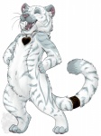 ambiguous_gender anthro biped chibi collar eyes_closed fluffy fur grey_body grey_fur hand_on_hip hands_on_hips heart_symbol laugh open_mouth paws simple_background smile solo standing stripes strutting tail teeth whiskers white_background white_body white_fur toradoshi tora_(toradoshi) felid mammal pantherine tiger watermark