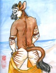 2007 beach butt java male okapi seaside solo undressing
Rating: Questionable
Score: 0
User: Kitsu~
Date: March 17, 2011