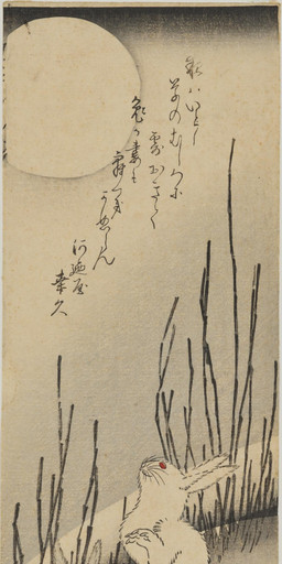 ambiguous_feral ambiguous_gender claws detailed_background duo feral finger_claws full_moon fur grass long_ears looking_up moon outside plant quadruped red_eyes scut_tail short_tail sitting tail text toe_claws whiskers white_body white_fur utagawa_hiroshige hare lagomorph leporid mammal 19th_century absurd_res ancient_art hi_res japanese_text traditional_media_(artwork)