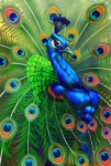 abs anthro athletic beak biceps biped blue_body clothed clothing feathers green_body grin male muscular muscular_anthro pecs pose purple_eyes smile solo standing topless gweek avian bird galliform peafowl phasianid