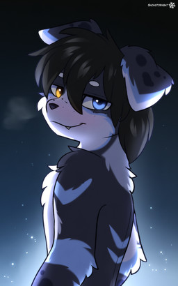 anthro blush cold cute_fangs fangs floppy_ears fluffy freckled_face freckles gradient_background heterochromia kemono looking_at_viewer male one_fang simple_background smile smug solo teeth snowybark snowdrift_(snowstormbat) border_collie canid canine canis collie domestic_dog herding_dog mammal pastoral_dog sheepdog 5:8 absurd_res hi_res