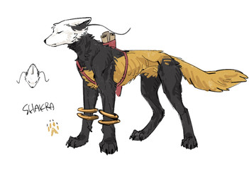 ambiguous_gender black_body black_fur black_nose black_text cheek_tuft eyes_closed facial_tuft feral fur inner_ear_fluff mouth_closed name_drop paws quadruped solo standing text tuft white_body white_fur yellow_body yellow_fur aaasakawa hollow_knight:_silksong hollow_knight_(franchise) team_cherry shakra_(hollow_knight:_silksong) canid canine mammal 2026 english_text hi_res