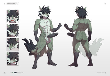 anthro balls big_penis biped black_hair black_penis erection front_view fur genitals grey_body grey_fur hair humanoid_genitalia humanoid_penis long_penis male muscular muscular_male nude penis rear_view simple_background solo spiky_hair standing tail white_balls feretto_chan rakurai_senku_(raikoukitsune) canid canine fox mammal absurd_res hi_res model_sheet