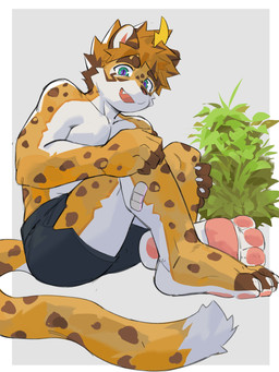 anthro athletic athletic_male bottomwear brown_hair clothing fur fur_markings green_eyes hair looking_at_viewer male markings multicolored_body multicolored_fur orange_body orange_fur pawpads plant shirtless_male shorts simple_background smile solo spots spotted_body spotted_fur tail two_tone_body two_tone_fur white_body joeyzliaotang felid leopard mammal pantherine 3:4 absurd_res hi_res