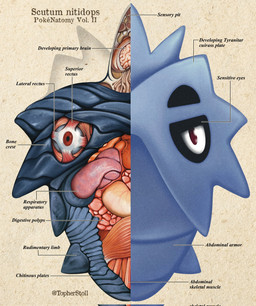 ambiguous_gender blue_body brain cross_section feral front_view furrowed_eyebrows looking_at_viewer no_pupils organs pupils purple_eyes red_eyes solo stomach text twitter_handle white_sclera christopher_stoll nintendo pokemon pokenatomy generation_2_pokemon pokemon_(species) pupitar 2022 biological_illustration copyright_name digital_drawing_(artwork) digital_media_(artwork) english_text full-length_portrait hi_res portrait technical_illustration