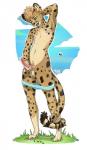 anthro balls clothed clothing erection genitals humanoid_genitalia humanoid_penis male masturbation partially_clothed penile penile_masturbation penis solo underwear underwear_down yildunstar wyatt_(gilded_crown) cheetah felid feline mammal 2017 hi_res