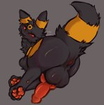 anus balls feral fluffy genitals knot male pawpads paws penis presenting presenting_anus presenting_balls presenting_penis solo vampyreon nintendo pokemon canid eeveelution generation_2_pokemon mammal pokemon_(species) umbreon