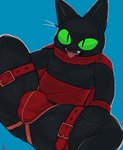 anthro anus black_body black_fur bulge butt cape clothing fur green_eyes jockstrap male red_clothing sash solo spread_legs spreading tongue underwear mymu666 cartoon_network mao_mao:_heroes_of_pure_heart sheriff_mao_mao_mao domestic_cat felid feline felis mammal hi_res