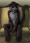 3_toes anthro biped black_body black_fur black_hair black_tail blue_eyes cheek_tuft chest_tuft facial_tuft fangs feet front_view fur furniture glistening glistening_eyes grey_body grey_fur grey_inner_ear_fluff hair hands_between_legs inner_ear_fluff looking_at_viewer male on_sofa open_mouth red_nose red_tongue sitting sofa solo tail teeth toes tongue tuft whiskers skyelegs housepets! maxwell_(housepets!) domestic_cat felid feline felis mammal hi_res