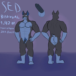abs anthro barazoku big_muscles big_pecs bubble_butt butt erection front_view genitals humanoid_genitalia male muscular nude pecs penis pubes rear_view solo akadthefox sed_(akadthefox) canid canine canis dobermann domestic_dog mammal pinscher 1:1 absurd_res full-length_portrait hi_res model_sheet portrait