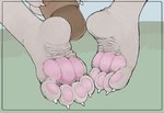 4_toes ambiguous_gender anthro claws clothing feet female finger_claws foot_focus foot_shot footwear pawpads sandals shoes soles solo toe_claws toes wrinkled_feet wrinkles ikkimikka konna_(ikkimikka) 2021 hi_res