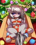 blue_eyes blurred_background blush bound box brown_box cardboard cardboard_box choker christmas_decorations christmas_lights christmas_ornament christmas_present christmas_tree clenched_teeth container convenient_censorship ear_tuft eye_through_hair feet female feral fur gift grey_body grey_ears grey_fur grey_hair grey_hooves grey_tail grey_wings hair holidays hooves in_box in_container jewelry looking_at_viewer looking_forward lying necklace on_back open_box open_mouth ornament plant red_floor red_ribbon ribbon_around_belly ribbon_around_leg ribbon_around_neck simple_nose solo tail teeth translucent translucent_hair tree tuft wings airiniblock christmas hasbro my_little_pony equid equine horse mammal pony hi_res shaded simple_shading