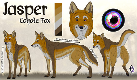 ambiguous_feral ambiguous_gender black_nose brown_body brown_fur cheek_tuft color_swatch facial_tuft featureless_crotch feral fur looking_at_viewer mouth_closed multicolored_eyes orange_body orange_fur rainbow_eyes side_view simple_background solo text tuft whiskers white_body white_fur kodaac canid canine canis coyote mammal absurd_res english_text hi_res model_sheet