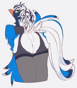 anthro beak bent_over blue_body blue_feathers braided_hair butt clothed clothing crotchless_clothing feathers featureless_crotch feet female flowing_tail fluffy green_eyes hair happy leaning leaning_forward legwear looking_at_viewer ponytail pose presenting presenting_hindquarters simple_background skimpy slight_smile slim solo standing stockings tail tail_feathers toes tuft underwear white_body white_feathers white_hair winged_arms wings mochimochiland cissa_(idorrth) avian bird corvid magpie_(corvid) oscine passerine digital_media_(artwork) hi_res pinup portrait three-quarter_portrait