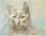 ambiguous_gender feral green_eyes solo text whiskers white_body francis_picabia public_domain domestic_cat felid feline felis mammal 20th_century ancient_art bust_portrait charcoal_(artwork) crayon_(artwork) graphite_(artwork) portrait signature traditional_media_(artwork)