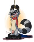 anthro balls bdsm belly blush bondage bottomwear bottomwear_down bound chest_tuft clothed clothing embarrassed foreskin genitals hands_above_head male nude pants pants_down partially_clothed penis rope scarf solo tuft orlandofox ringo_raccoon mammal procyonid raccoon