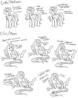 anatomically_correct anatomically_correct_genitalia anatomically_correct_penis anatomically_correct_vulva animal_genitalia animal_penis animal_vulva anus balls blush clothing commentary comparison duo equine_genitalia equine_penis equine_vulva erection feathered_wings feathers female feral flaccid fully_sheathed genitals hat headgear headwear herm herm_feral intersex intersex_feral lying male on_back penis sheath simple_background spread_legs spreading standing tail teats topwear vest vulva what_has_magic_done white_background wings cartoonlion friendship_is_magic hasbro my_little_pony mythology braeburn_(mlp) fluttershy_(mlp) earth_pony equid equine horse mammal mythological_creature mythological_equine pegasus pony 4:5 black_and_white hi_res monochrome multiple_images sequence