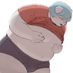 anthro belly big_belly black_nose blue_hair blush bulge clothing hair humanoid_hands kemono male moobs nipples overweight overweight_male simple_background solo underwear white_background sv_grart bina_(sv_grart) canid canine canis domestic_dog mammal 2023