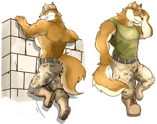 abs anthro back_muscles belt biceps bodily_fluids boots bottomwear camo camo_bottomwear camo_clothing camo_pants camo_print clothed clothing exercise fangs footwear hat headgear headwear male multiple_poses muscular muscular_anthro muscular_male pants pattern_bottomwear pattern_clothing pattern_pants pecs pose pull-up_(exercise) shirt shoes simple_background sleeveless_shirt solo sweat tank_top teeth topless topwear wall_(structure) t266771 canid canine canis mammal wolf 2017 digital_media_(artwork) hi_res