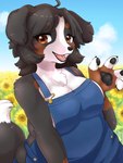 anthro big_breasts breasts chest_tuft cleavage clothed clothing curvy_figure denim denim_clothing detailed_background fangs female female_anthro flower fully_clothed hair kemono looking_at_viewer overalls overalls_only paws plant side_boob sleeveless_topwear slightly_chubby smile smiling_at_viewer solo sunflower teeth thick_thighs tongue tuft voluptuous koto0v0haru amaverse angel_welina bernese_mountain_dog canid canine canis domestic_dog mammal molosser mountain_dog swiss_mountain_dog 3:4 hi_res