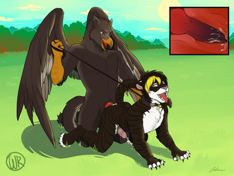 all_fours anal anal_knotting anal_penetration anthro beak black_body black_fur black_hair blonde_hair blue_eyes bodily_fluids collar cum cum_in_ass cum_inside cum_on_ground cum_while_penetrated dominant dominant_male duo ejaculation erection feathered_wings feathers feet forest fur genital_fluids genitals grass hair half-closed_eyes hands-free hindpaw internal knot knotting leash leash_pull looking_pleasured male male/male male_penetrated male_penetrating male_penetrating_male narrowed_eyes nude orgasm outside paws penetration penis plant sex submissive submissive_male tail tongue tongue_out tree white_body white_fur wings yellow_eyes wolfrocket mythology caelan_(agentfawkes) lelantos avian felid gryphon mammal mythological_avian mythological_creature pantherine tiger 4:3