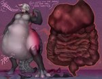 abdominal_bulge abs anthro anthro_pred athletic belly big_butt big_tail bodily_noises bone bone_imprints bones_in_stomach bra burping butt clothing death dialogue different_sound_effects digestion emoticon extended_sound_effect fatal_vore female female_prey hair heart_after_text heart_emoticon heart_symbol intestinal_bulge lingerie male male/female male_pred multiple_prey onomatopoeia open_mouth oral_vore overweight panties partial_speech_bubble rumbling_stomach skull_imprint solo sound_effect_variant sound_effects tail talking_to_another talking_to_prey tattoo text text_with_emanata text_with_heart thanking tongue underwear vore vowelless vowelless_sound_effect white_hair stasnublin mythology rose_(demon) canid canid_demon canine demon hellhound human mammal mythological_canine mythological_creature himbo absurd_res digital_media_(artwork) english_text hi_res