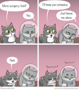 4_legs 4_panel_comic adolescent_feral bandage bandaged_arm black_body black_fur cone_of_shame dialogue eyebrows female female_adolescent female_feral feral fur gloves_(marking) gradient_background green_eyes green_sclera grey_body grey_fur lying markings medical_instrument on_front pink_inner_ear pink_nose purring scientific_instrument simple_background spots spotted_body spotted_fur tan_body tan_fur text whiskers white_body white_fur young young_female young_feral pizzacakecomic pizzacake jade_(pizzacake) sandy_(pizzacake) domestic_cat felid feline felis mammal absurd_res comic english_text hi_res