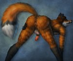 anthro anus balls bent_over biped black_body black_ears black_fur black_lips black_nose black_tail blue_background brown_hair butt cheek_tuft dipstick_tail erection facial_tuft fur genitals glistening glistening_eyes glistening_nose gloves_(marking) green_eyes hair humanoid_genitalia humanoid_penis leg_markings lips looking_back male markings orange_body orange_fur orange_tail penis perineum presenting presenting_anus presenting_hindquarters rear_view red_penis simple_background socks_(marking) solo standing tail tail_markings tuft white_balls white_body white_fur white_tail skyelegs canid canine fox mammal 6:5