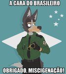 anthro black_bottomwear black_clothing black_necktie black_pants bottomwear brazil brazilian clothing eyewear fascism green_clothing green_shirt green_topwear hand_on_hip humor male military_uniform necktie pants shirt solo sunglasses tail text topwear uniform ricthecusco southern_cross canid canine canis domestic_dog mammal impact_(font) meme portuguese_text