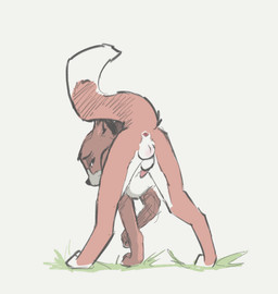 animal_genitalia animal_penis anus canine_genitalia canine_penis feet feral fur genitals half-closed_eyes looking_back male narrowed_eyes paws penis raised_tail rear_view simple_background solo tail toes tuke disney the_fox_and_the_hound tod_(tfath) canid canine canis fox mammal red_fox true_fox digital_media_(artwork) hi_res