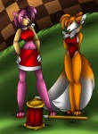 aakashi amy_rose anthro bottomwear canid canine clothing comic crop_top duo eulipotyphlan female fox hedgehog leotard mammal midriff miles_prower monotone_clothing monotone_leotard navel orange_body piko_piko_hammer pink_body red_bottomwear red_clothing red_skirt red_topwear sega shirt skirt sonic_the_hedgehog_(series) topwear transformation