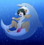 anthro anthro_on_feral anus balls bestiality black_hair black_nose blush bubble cetacean dolphin erection eyewear feral gay glasses green_eyes hair ingi interspecies male marine mustelid necklace nude open_mouth otter pawpads penis size_difference spread_legs spreading tapering_penis tongue uncut underwater water zoofilia
Rating: Explicit
Score: 12
User: chdgs
Date: February 28, 2014