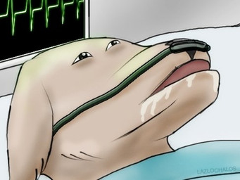 ambiguous_gender bodily_fluids drooling electrocardiogram feral hospital humor lazlochalos saliva solo ventilation wikihow canid canine mammal 4:3 low_res
