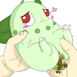 ambiguous_gender anus bubble duo embarrassed feces feral first_person_view gaping gaping_anus green_body hand_holding heart_symbol humanoid_hands leaf looking_at_viewer lying mouth_closed on_back pooping raised_leg red_eyes scatplay shaking_legs simple_background smelly stink_fumes three-quarter_view toony young young_feral toilet_paper_(pixiv) nintendo pokemon chikorita generation_2_pokemon human mammal pokemon_(species) 1:1 2026 digital_media_(artwork)